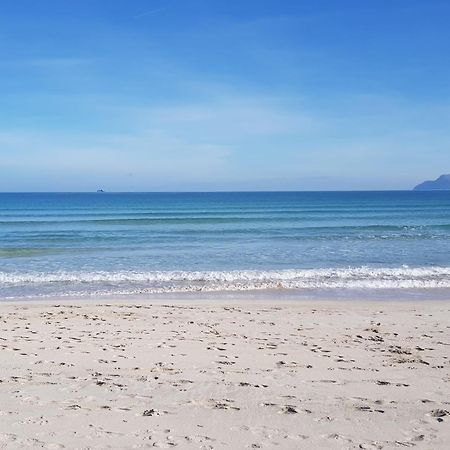 Ideal Property Mallorca - Didi アルクディア エクステリア 写真