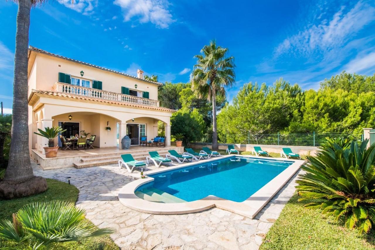 Ideal Property Mallorca - Didi アルクディア エクステリア 写真